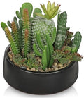 DILATATA Artificial Cactus Plants in Pot 5.5 Inch Fake Succulents Arrangement Potted Plant in Black Ceramic Planter Bowl for Home Office Desk Shelf Living Room Bedroom Bathroom Decor by DILATATA
