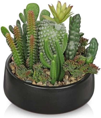 DILATATA Artificial Cactus Plants in Pot 5.5 Inch Fake Succulents Arrangement Potted Plant in Black Ceramic Planter Bowl for Home Office Desk Shelf Living Room Bedroom Bathroom Decor by DILATATA