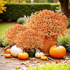 Uieke 72 Pcs Artificial Fall Flowers for Outdoors, UV Resistant Faux Mums - Image 4