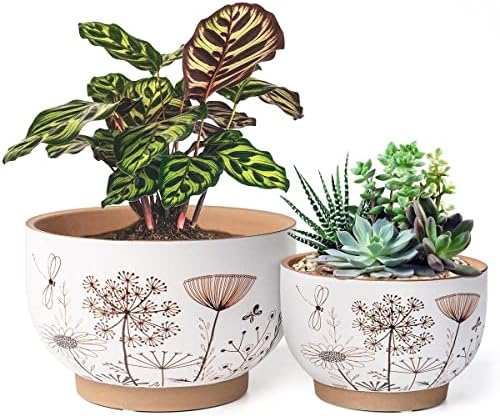Glazed Terracotta Pot Sets & Saucers Set - Image 2