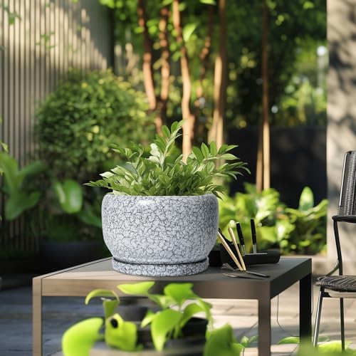 SQOWL Ceramic Planters - 10 Inch Ceramic Flower Pot with Drainage Hole and Saucer, Decorative Plant Pot Indoor, Round Large Planter Outdoor, Bathroom Decor, Gifts for Plant Lovers, Black and White - Image 5