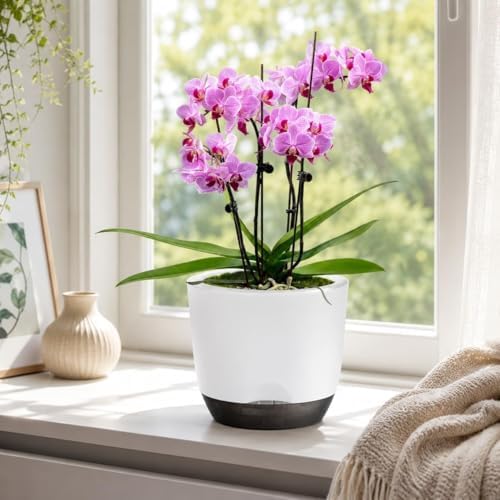 5.7Inch White Orchid Pots with Holes for Repotting, Double-Layer Plastic Self Watering Flower Pots for Indoor Plants with Drainage Holes, Clear Orchid Pot Match Decorative Orchid Container, 5 Packs - Image 5