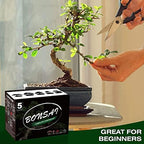 Meekear 5 Bonsai Tree Kit Complete Plant Growing Tools, Grow in Pot Indoor Bonsai Tree Starter Kit, Great Home Gardening Potted Plants DIY Gift for Adults - Image 4
