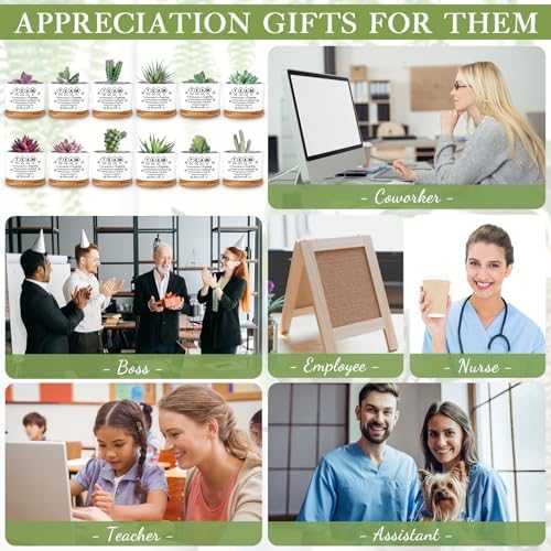 12 Pcs Team Appreciation Gifts for Employees Succulent Pots - Image 5