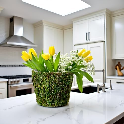SuperMoss (55204 Carmel Deco Basket, Fresh Green, 10in Drop in - Image 3