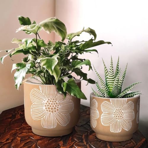Ceramic Plant Pots, 8+6 Inch, 2 Pcs Indoor Planters with Drainage Holes - Image 5