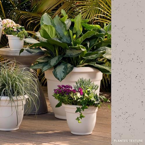 Bloem Ariana 20" Plastic Self-Watering Planter, Vanilla Bean, 2-Pack - Image 2
