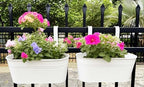 17" Hanging Metal Railing Planter with Detachable Hook, Oval White, 2 Pack - Image 5