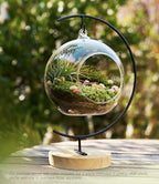 LuckyRunes DIY Glass Terrarium Kit with Live Moss & Mini Tools - Image 5