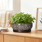 Succulent Pots, 10 Inch Ceramic Bonsai Tree Pots, White Leopard - Image 6