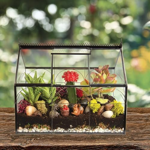 D'Eco Glass Greenhouse Plant Terrarium, Centerpiece & Wedding Letterbox - Image 7
