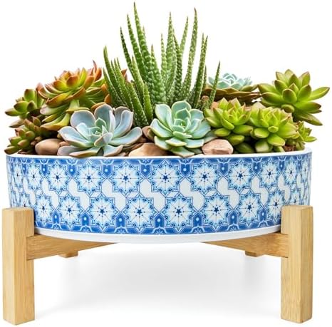 ARTKETTY Succulent Pots - 11 Inch Large Plant Pots Ceramic Bonsai Pots with Drainage Stand, Shallow Succulent Planters for Indoor Plants Decorative Flower Cactus Planter Bowl by ARTKETTY
