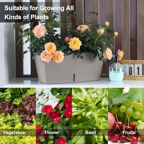 Oliz Window Box Planter 6 Pcs, 12.6 Inches Self Watering Rectangle Flower Plant Pots with Drainage Holes & Breathable Trays, Vegetable Planters for Windowsill Patio Garden Balcony Porch Yard (Khaki) - Image 7
