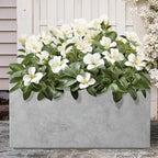 Kante Rectangular Pale Gray Concrete Planter 23" L 12" H Home & Outdoor - Image 4