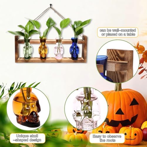 Plant Propagation Stations Halloween Skull Plant Terrarium Kit - Image 3
