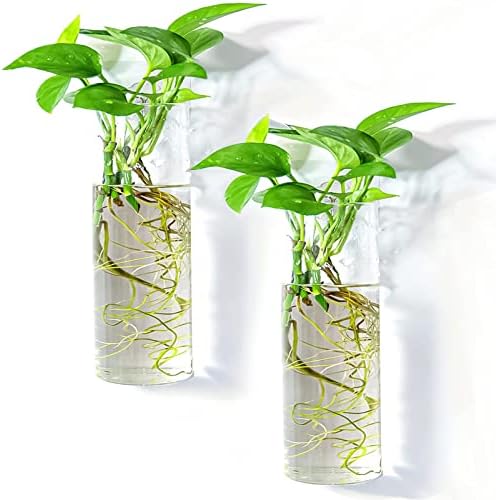 Wall Hanging 5 Test Tube with Wooden Frame and 2 Cylindrical Propagation Vase for Water Plants, Home Office Living Room Decor, Gift for Plant Lovers - Image 6