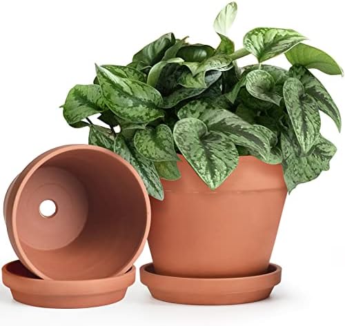 INGOFIN Terracotta Pots Set with Saucer - 2-Pack Ceramic Clay Planters with Drainage Hole, Garden Flower Succulent Pots with Tray for Indoor Outdoor Plants, 8 inch, Set of 2 by INGOFIN