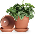 INGOFIN Terracotta Pots Set with Saucer - 2-Pack Ceramic Clay Planters with Drainage Hole, Garden Flower Succulent Pots with Tray for Indoor Outdoor Plants, 8 inch, Set of 2 by INGOFIN