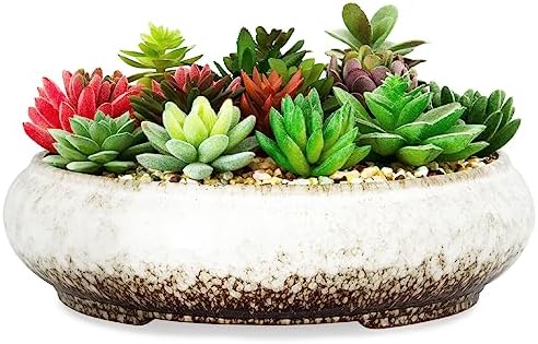ARTKETTY Succulent Pots - 11.5 Inch Ceramic Bonsai Pots with Drainage by ARTKETTY