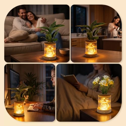 Plant Propagation Station with Wooden Saucer, Glass Terrarium with Dimmable Function Hydroponic Container Vase Jars Gardening Gifts for Mom Women Plant Lovers(4 Pack) - Image 6