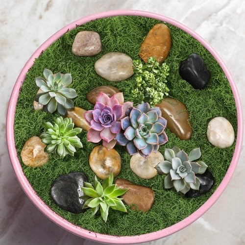 Solsew Fake Green Moss and Stone Decoration Set for Table Centerpiece - Image 6