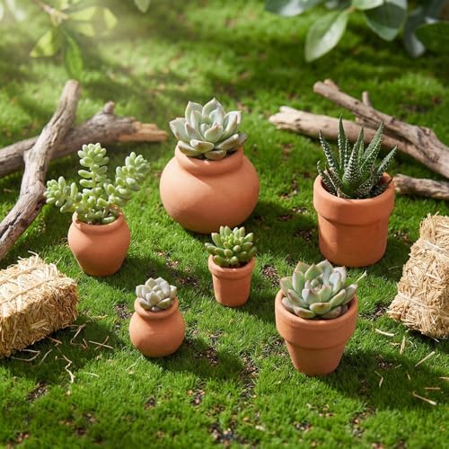 Maxdot 36 Pcs Small Terracotta Pot Tiny Clay Pots Bulk, 1.34 Inch, 6 Style - Image 6