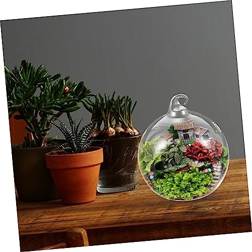 2pcs Globe Hanging Terrarium Glass for Indoor Plants - Image 3