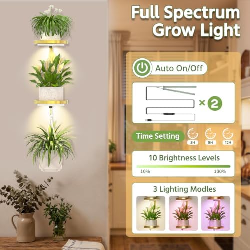 LASZOLA Plant Hanger Holder Shelf Wall Indoor with Lights, 2 Pcs Gold - Image 3