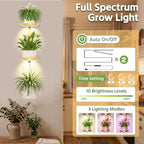 LASZOLA Plant Hanger Holder Shelf Wall Indoor with Lights, 2 Pcs Gold - Image 3