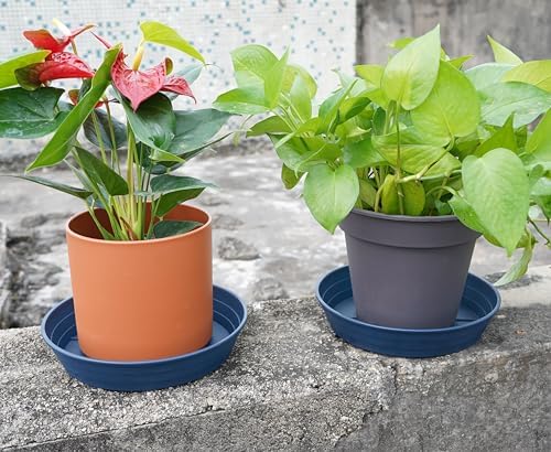 LWALRS Plant Saucer 14 Inch 4 Pack 6 8 10 12 14 16 18 20 25, Plastic Plant Trays for Pots，Extra-Deep Plant Water Dray Tray, Bird Bath Bowl, Heavy Flower Plant Saucers Indoors and Outdoor No Holes - Image 3