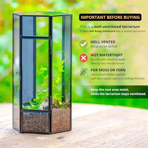 NCYP Small Glass Terrarium with Mesh and Door for Spiders, Hexagon Shape Small Mantis Vented Glass Terrarium 4.9'' x 4.3'' x 9.4'', Tabletop Decor, Black (Plants Not Include) - Image 3