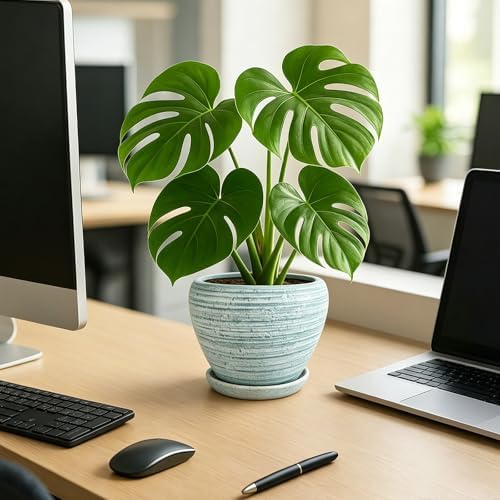 Deep Dream 8 Inch Plant Pots- Ceramic Pots for Plants with Drainage Hole and Saucer, Large Planter Pot for Indoor Plants Outdoor Decor, Brushed Green - Image 4