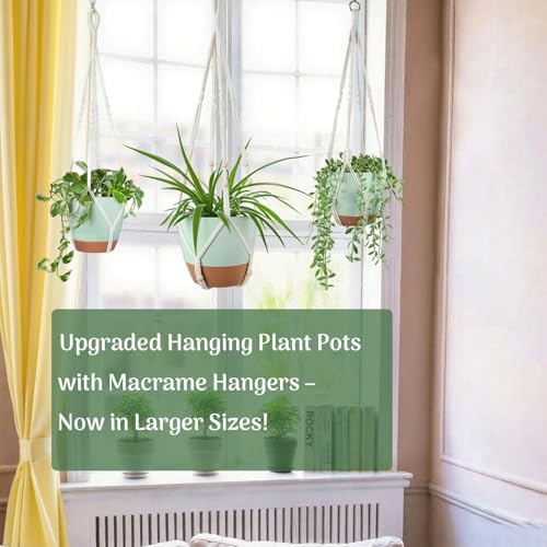 Bouqlife Large Hanging Planters with Macrame Plant Hangers for Indoor Outdoor Plants 3 Set 10" / 8" / 7" Self Watering Pots Hanging Baskets Flower Pot Holders 3 Different Size Green Large - Image 4