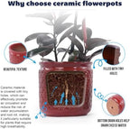 3 PCS Ceramic Planter, 9/12/15 Inch Deep Cylinder Planter with Drainage Hole, Large Plant Pots for Tree Foliage - Red - Image 2