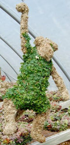 Monkey Topiary (27") Sphagnum Moss Topiary Form - Image 2