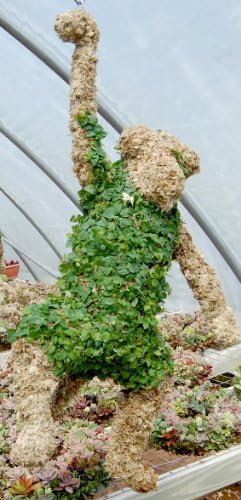 Monkey Topiary (27") Sphagnum Moss Topiary Form - Image 2