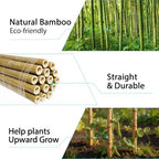 Bamboo Stakes 7FT, 15pcs Garden Stakes Specifically Designed for Climbing Plants, Ideal for Tomatoes, Beans, Cucumbers, Peppers, Vines, and More Plant Growth - Image 4