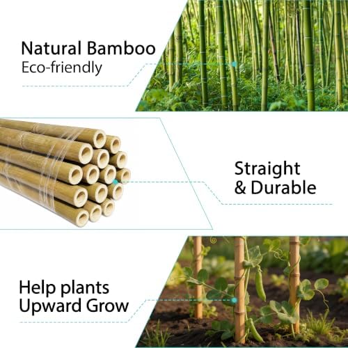 Bamboo Stakes 4.8FT, Approx 5ft Plant Stakes, Garden Stakes 25pcs Specifically Designed for Climbing Plants, Ideal for Tomatoes, Beans, Cucumbers, Peppers, Vines, and More Plant Growth - Image 4