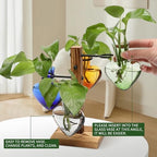 Plant Terrarium Propagation Stations with Wooden Stand - Image 3