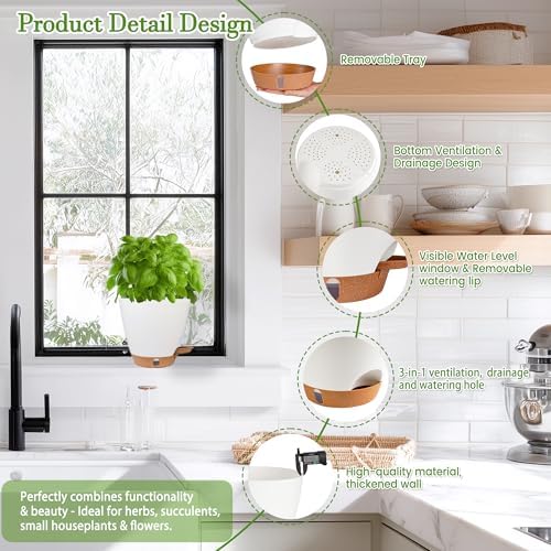 10 Inch Hanging Planters for Indoor Plants & Outdoor, 6 Inch Self Watering Pots for Indoor Plants (5-Pack) Plastic Planters with Water Window, Drainage Holes & Trays - Image 7