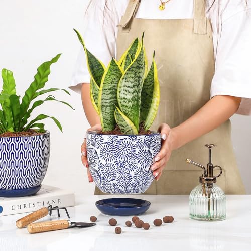 Selamica Ceramica Plant Pots, 6.5 Inch Flower Pots Set of 2 with Drainage Holes & Saucer, Planters for Indoor Plants, Home Decor, Vintage Blue - Image 6