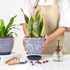 Selamica Ceramica Plant Pots, 6.5 Inch Flower Pots Set of 2 with Drainage Holes & Saucer, Planters for Indoor Plants, Home Decor, Vintage Blue - Image 6