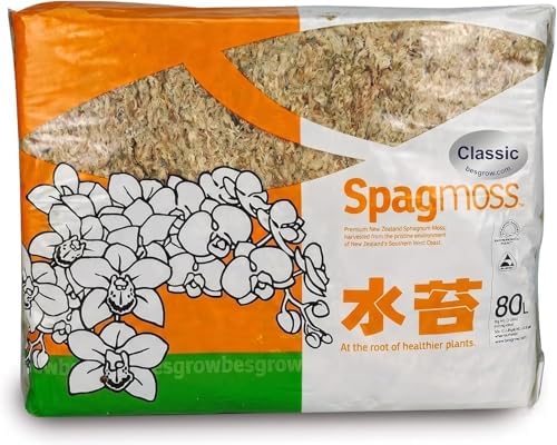 Premium New Zealand Sphagnum Moss, 1000g (80L When Hydrated) - Harvested in New Zealand's South Island, Dried and Long for Potted Plants, Orchids, Reptiles (AA Classic (4" Strands)) by besgrow