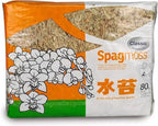 Premium New Zealand Sphagnum Moss, 1000g (80L When Hydrated) - Harvested in New Zealand's South Island, Dried and Long for Potted Plants, Orchids, Reptiles (AA Classic (4" Strands)) by besgrow