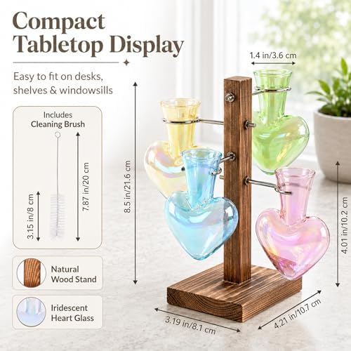 Nacome Plant Terrarium Propagation Stations: Colored Vase with Wooden Stand - Image 4