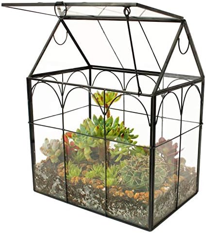 ELEGANTLIFE Glass Geometric Plant Terrarium,Succulent & Air Planter for Home Garden Office Decoration (Black House) by ELEGANTLIFE