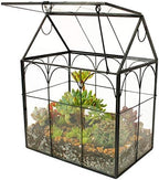 ELEGANTLIFE Glass Geometric Plant Terrarium,Succulent & Air Planter for Home Garden Office Decoration (Black House) by ELEGANTLIFE