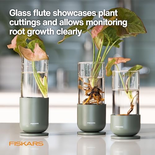 Fiskars Plant Propagation Set, Glass Vase Hydroponic Growing System, 3-Pack - Image 5