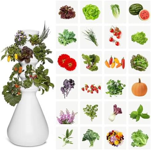 Lettuce Grow Farmstand Outdoor Starter Kit | 24 Seedlings | 4ft 10in | USA by LettuceGrow