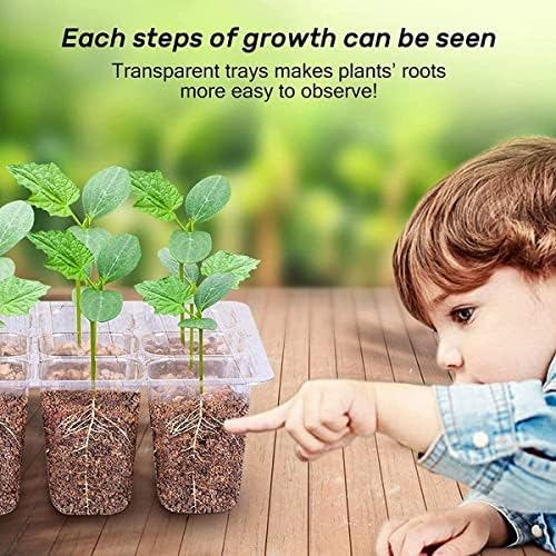 Seed Starter Trays, Reusable Seed Starter Tray 12 Holes,with Air Vent Humidity Dome and Drain Hole Base for Seedling, Seed Growing and Seed Starting,7.3 x 5.7 x 4.3 inches (5 PCS-Green) - Image 7